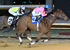 Immortal Eyes Has MD Sprint 'Cap in Sights Immortal Eyes Has MD Sprint 'Cap in Sights