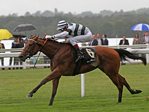 Immortal Verse Last-to-First in Coronation Immortal Verse Last-to-First in Coronation