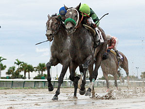 Imperial Czar Wins Off-the-Turf Miami Mile Imperial Czar Wins Off-the-Turf Miami Mile