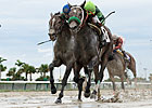 Imperial Czar Wins Off-the-Turf Miami Mile Imperial Czar Wins Off-the-Turf Miami Mile