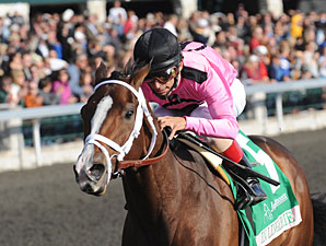 Improving In Lingerie Nabs Spinster Victory Improving In Lingerie Nabs Spinster Victory