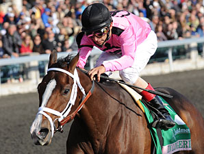 In Lingerie Retired, Booked to Frankel In Lingerie Retired, Booked to Frankel