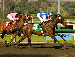 In Summation Wraps Up El Conejo Repeat In Summation Wraps Up El Conejo Repeat