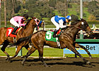 In Summation Wraps Up El Conejo Repeat