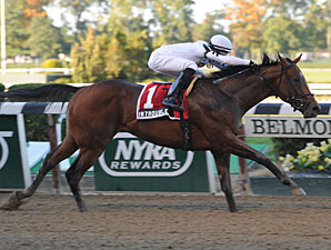 Belmont Futurity No Problem for In Trouble Belmont Futurity No Problem for In Trouble