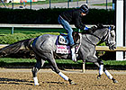 Injury Knocks In Tune from Oaks Consideration Injury Knocks In Tune from Oaks Consideration