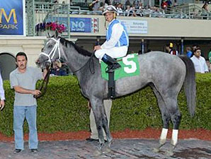 In Tune Takes Giant Step in Gulfstream Oaks In Tune Takes Giant Step in Gulfstream Oaks