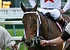 Inca King Takes Commonwealth Crown
