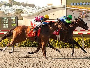 Include Me Out All In for Clement Hirsch Win Include Me Out All In for Clement Hirsch Win