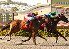 Include Me Out All In for Clement Hirsch Win