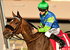 Featured Horse Profile: Include Me Out Featured Horse Profile: Include Me Out