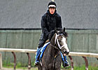 Incognito Looking for Recognition in Belmont