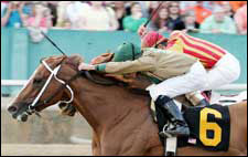 Much to Like About India in Molly Pitcher Much to Like About India in Molly Pitcher