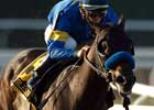 Indian Blessing Morning-Line Choice in Juvenile Fillies Indian Blessing Morning-Line Choice in Juvenile Fillies