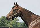 Stakes Producer Soviet Sojourn Euthanized Stakes Producer Soviet Sojourn Euthanized