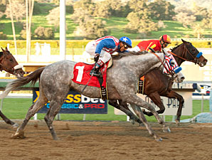 Bob Gives Baffert San Fernando Milestone Bob Gives Baffert San Fernando Milestone