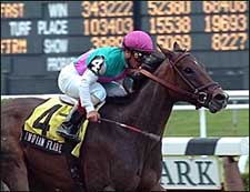 Indian Flare Dies After Finishing Race Indian Flare Dies After Finishing Race