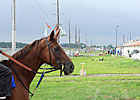 Indiana Downs Sustains Storm Damage Indiana Downs Sustains Storm Damage