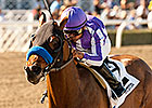 Baffert Quartet Faces Shared Belief in Malibu Baffert Quartet Faces Shared Belief in Malibu