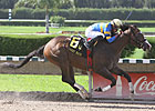 Indiano Delivers in Carry Back Indiano Delivers in Carry Back