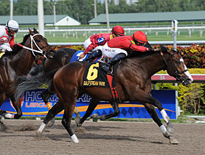 Indiano Turns the Tables in Mr. Prospector Indiano Turns the Tables in Mr. Prospector