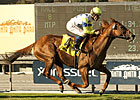 Stevens Guides Indy Point to John Henry Win Stevens Guides Indy Point to John Henry Win