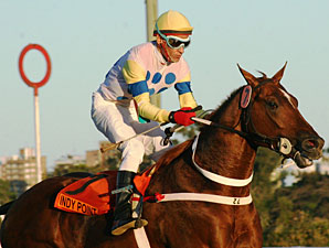South American Star Indy Point Joins Mandella South American Star Indy Point Joins Mandella