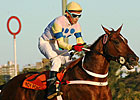 South American Star Indy Point Joins Mandella South American Star Indy Point Joins Mandella