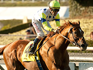 Mandella Figures He's Due in $3 Million Turf Mandella Figures He's Due in $3 Million Turf
