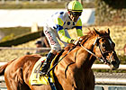 Mandella Figures He's Due in $3 Million Turf Mandella Figures He's Due in $3 Million Turf