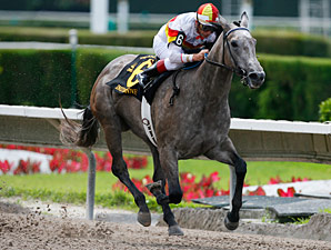 Undefeated Indyanne Romps in Azalea Undefeated Indyanne Romps in Azalea