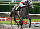 Undefeated Indyanne Romps in Azalea Undefeated Indyanne Romps in Azalea