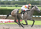 Fast Filly Indyanne Euthanized Fast Filly Indyanne Euthanized