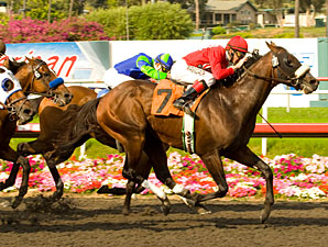 O'Neill, Baze Make Right Call With Informed O'Neill, Baze Make Right Call With Informed