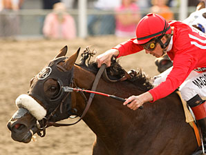 O'Neill Aims at Fifth Gold Cup With Informed O'Neill Aims at Fifth Gold Cup With Informed