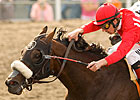 O'Neill Aims at Fifth Gold Cup With Informed