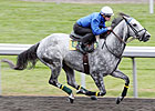 Augustin Stable Champions Work at Keeneland Augustin Stable Champions Work at Keeneland