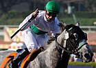 Leparoux, 'All Others' Lead in Jockey Bet
