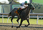 Raven Run: Informed Decision Sets Record