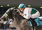 Informed Decision Heads TCA at Keeneland Informed Decision Heads TCA at Keeneland