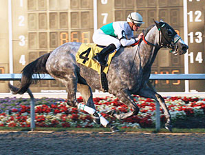 Informed Decision Handles Two-Turn Mile Informed Decision Handles Two-Turn Mile