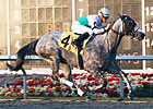Informed Decision Handles Two-Turn Mile