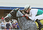 Informed Decision Likely Choice in Ballerina