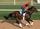Informed Clear Choice in Godolphin Mile