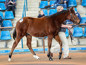 Demand Pushes Inglis Clearance Rate to 89% Demand Pushes Inglis Clearance Rate to 89%