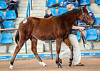 Demand Pushes Inglis Clearance Rate to 89% Demand Pushes Inglis Clearance Rate to 89%