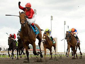 Filly Inglorious Triumphs in Queen's Plate Filly Inglorious Triumphs in Queen's Plate