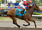 Plate Winner Inglorious Makes Woodbine Return