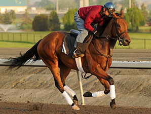Inglorious Leads Woodbine Oaks Lineup