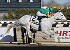 Inherit the Gold Dominates Excelsior Stakes Inherit the Gold Dominates Excelsior Stakes